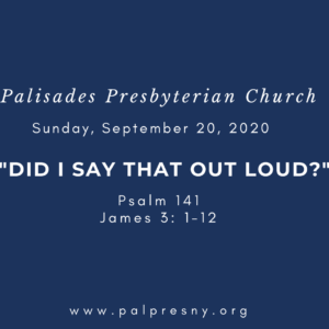 Did I Say That Out Loud?