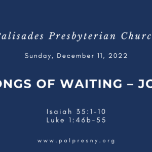 Songs of Waiting – Joy