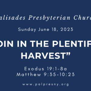 Join in the Plentiful Harvest