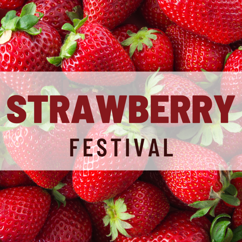 Strawberry Festival
