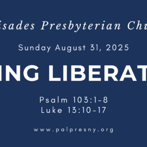 Seeing Liberation