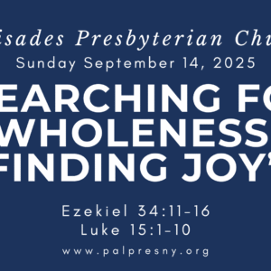 Searching for Wholeness, Finding Joy