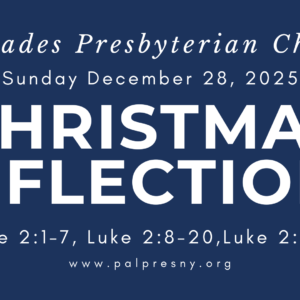 Christmas Reflections