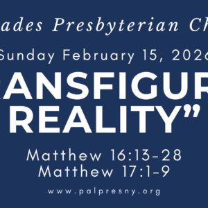 Transfigured Reality