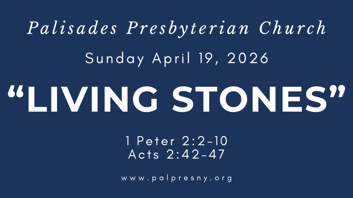 Living Stones Living Stones