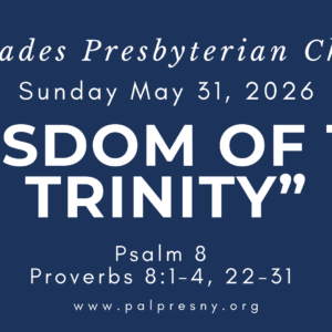 Wisdom of the Trinity