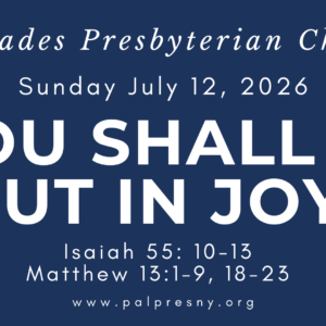 You shall go out in Joy