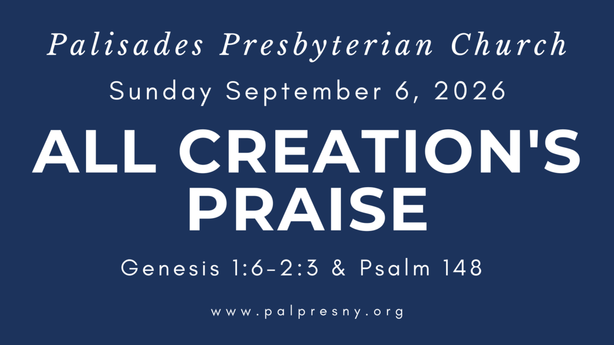 All Creation’s Praise All Creation’s Praise